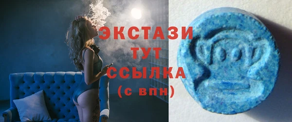 гидра Арсеньев