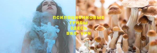 МДПВ Алзамай