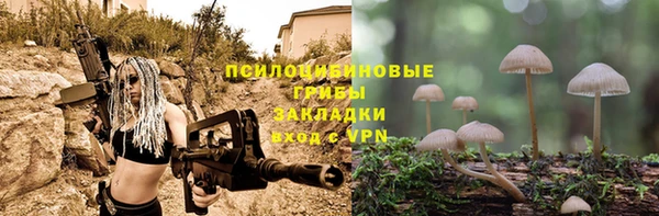 МДПВ Алзамай