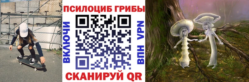 Галлюциногенные грибы GOLDEN TEACHER  магазин    гидра ССЫЛКА  Карабаш 